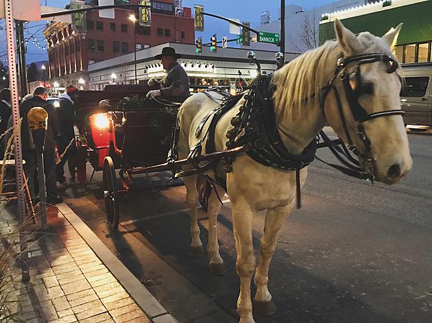 FREE Carriage Rides are Back for the Holidays
