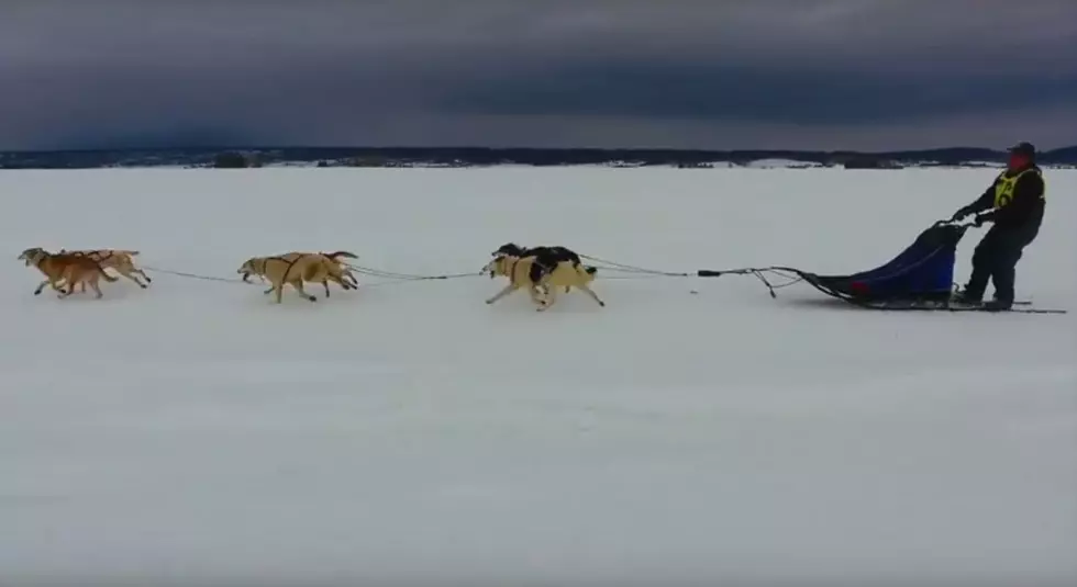 U.S.'s Oldest Dog Sled Race