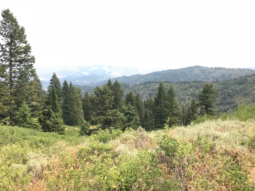 Newbie to Boise: First Time Up Bogus Basin