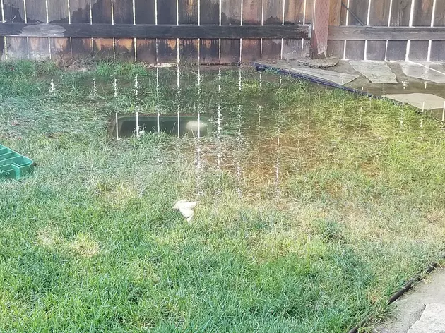 Homeowner Disaster, Automatic Sprinkler FAIL