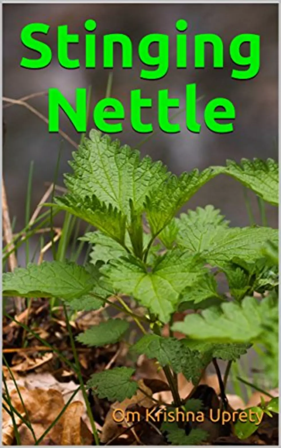 Outdoor Idaho Tip: Don’t Mess With Nettles
