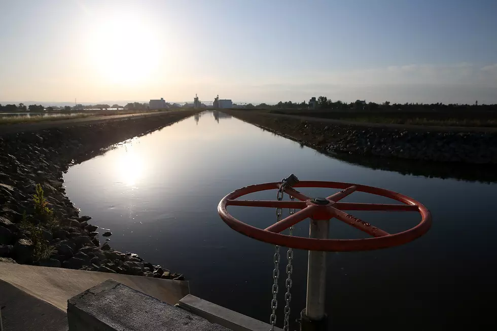 Did You Swim in the Irrigation Ditch As a Kid in Boise?