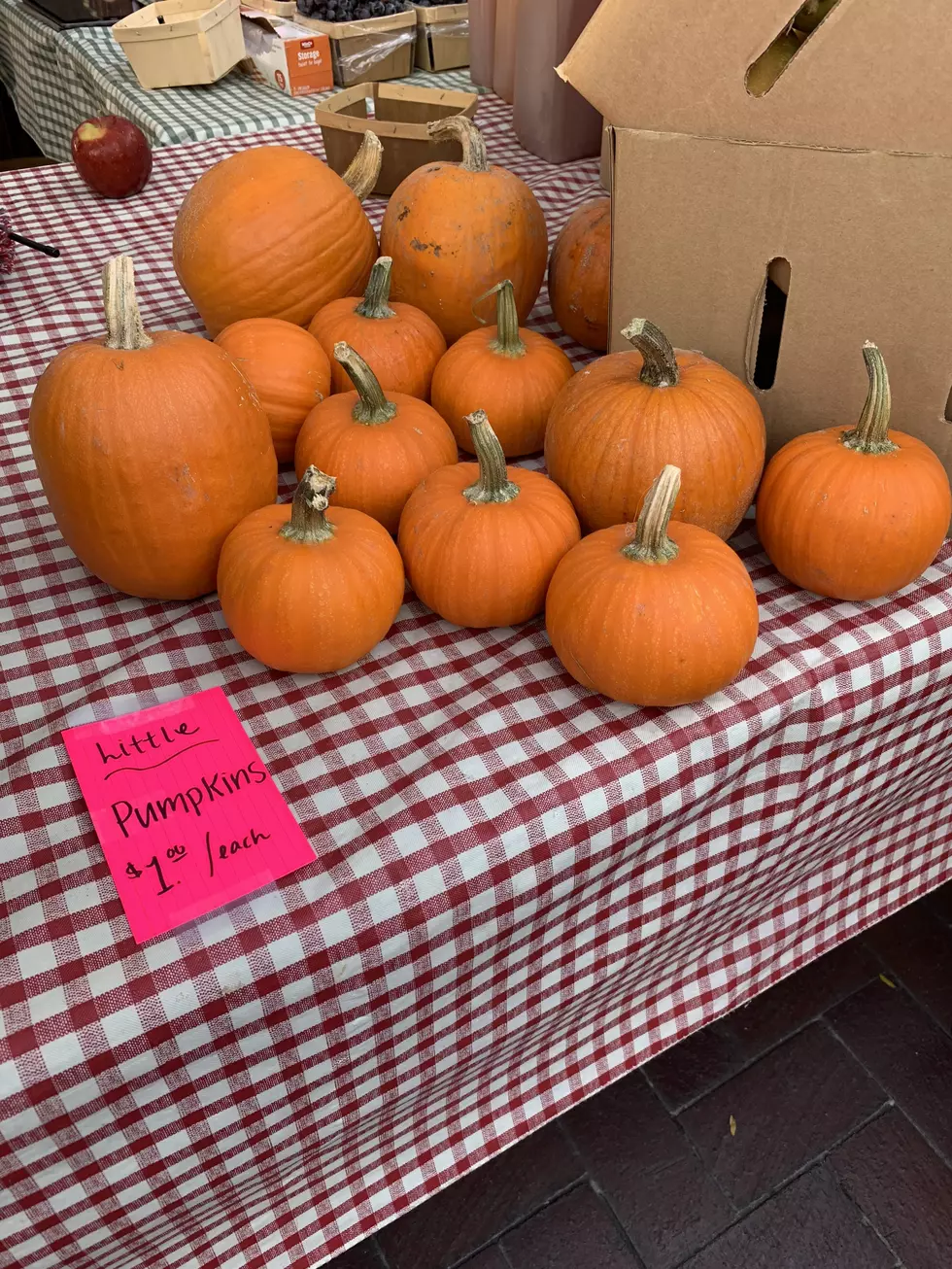 This Was a Great Place to Get a Last Minute Pumpkin