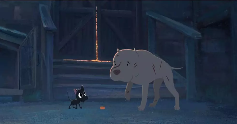 Pixar’s ‘Kitbull’ Could Change your Life In Less Than 9 Minutes