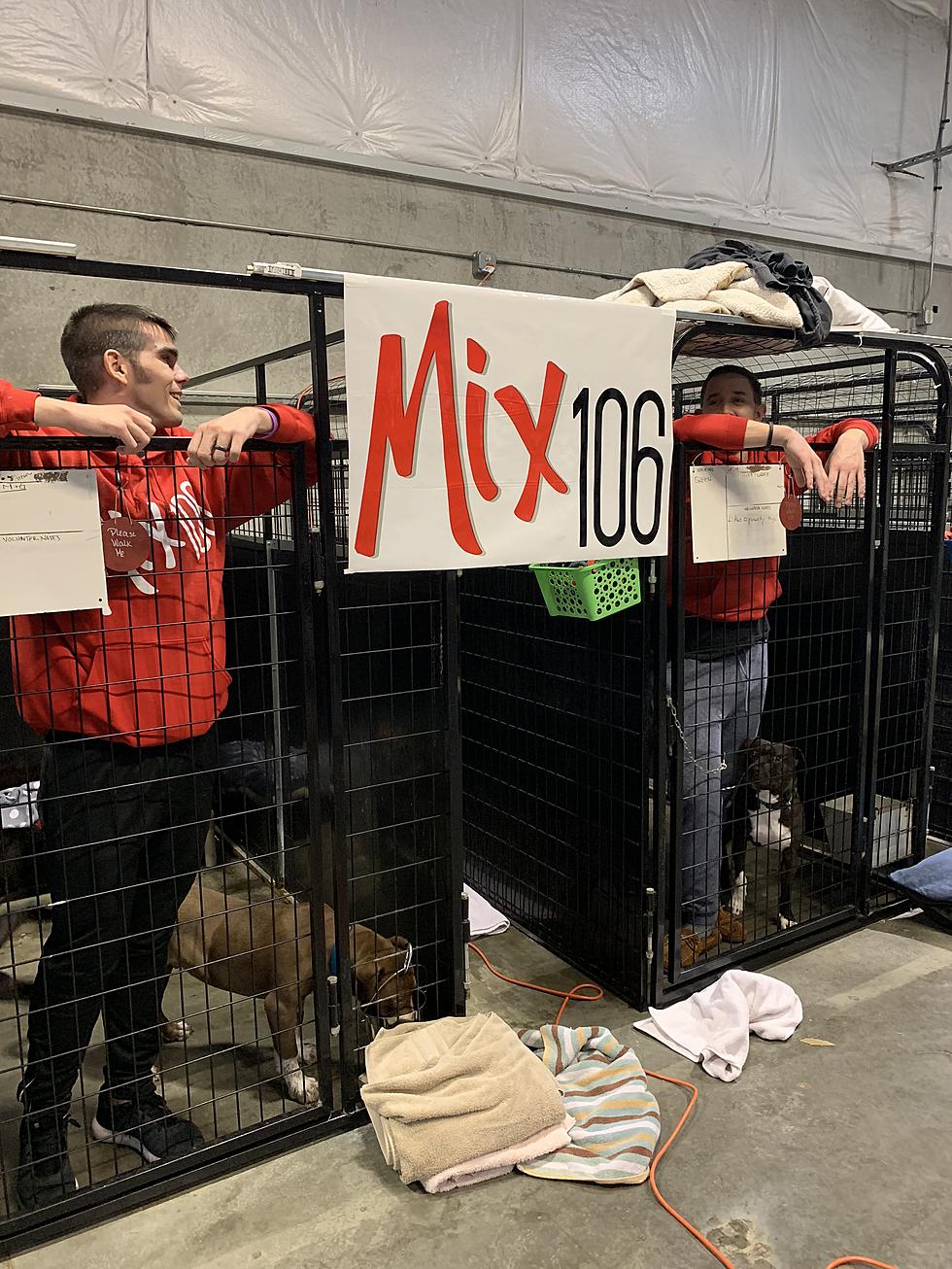 Watch Live and Donate for the Mix 106 Mutts Meridian Canine Rescue