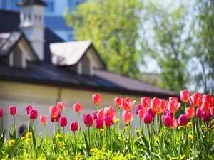 Spring in Boise Starts to Make It&#8217;s Appearance in Mid March