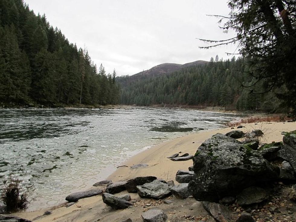 Idaho Fish and Game Closes Steelheading in Clearwater River Basin