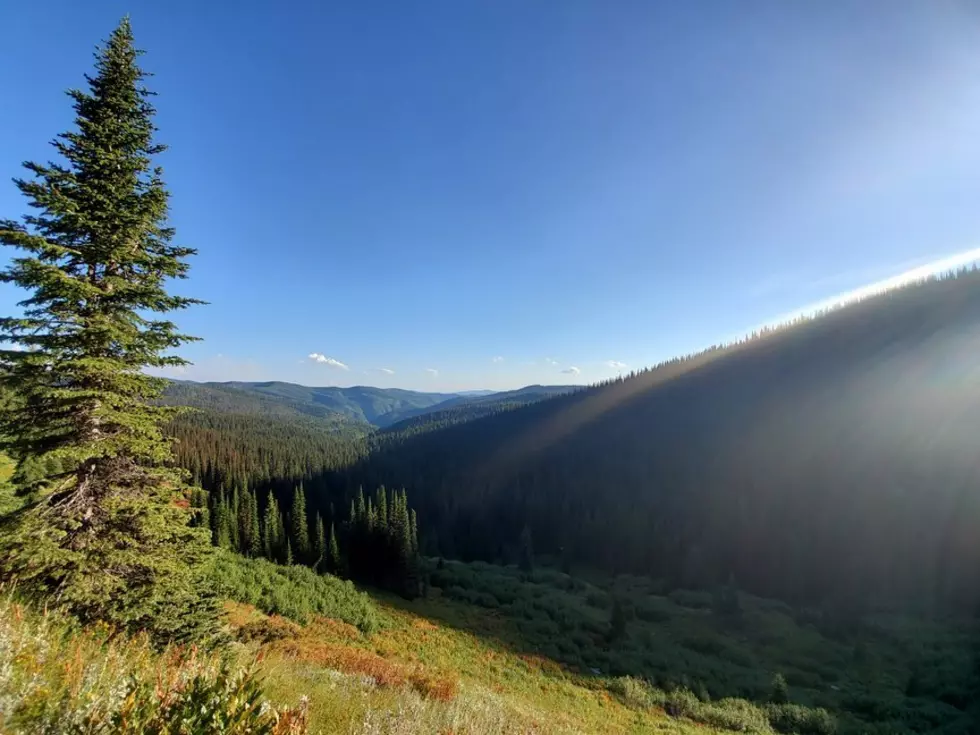 Fishing Part of the Clearwater River in Idaho For My First Time