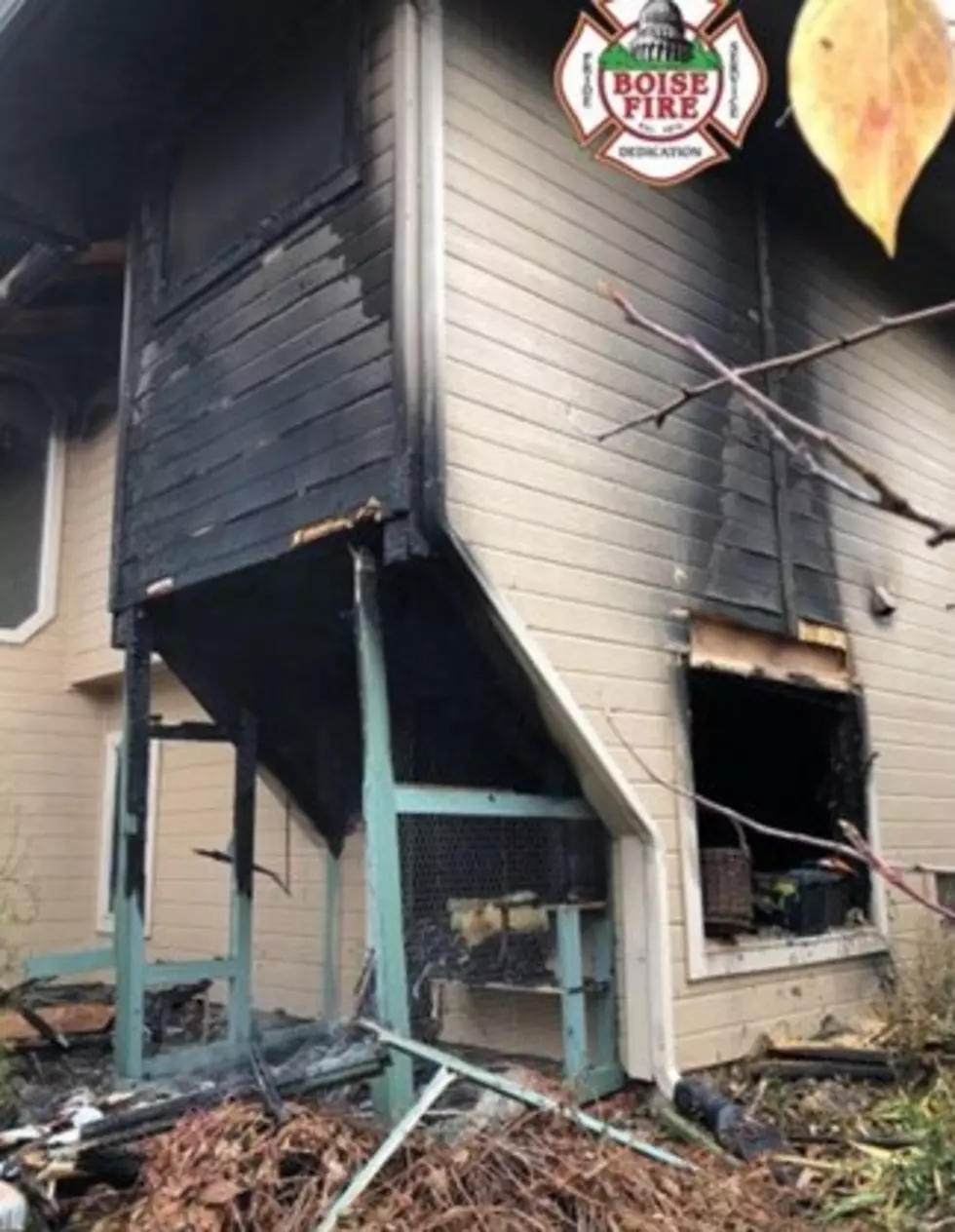 2 Dogs Die and Man Injured in Boise House Fire