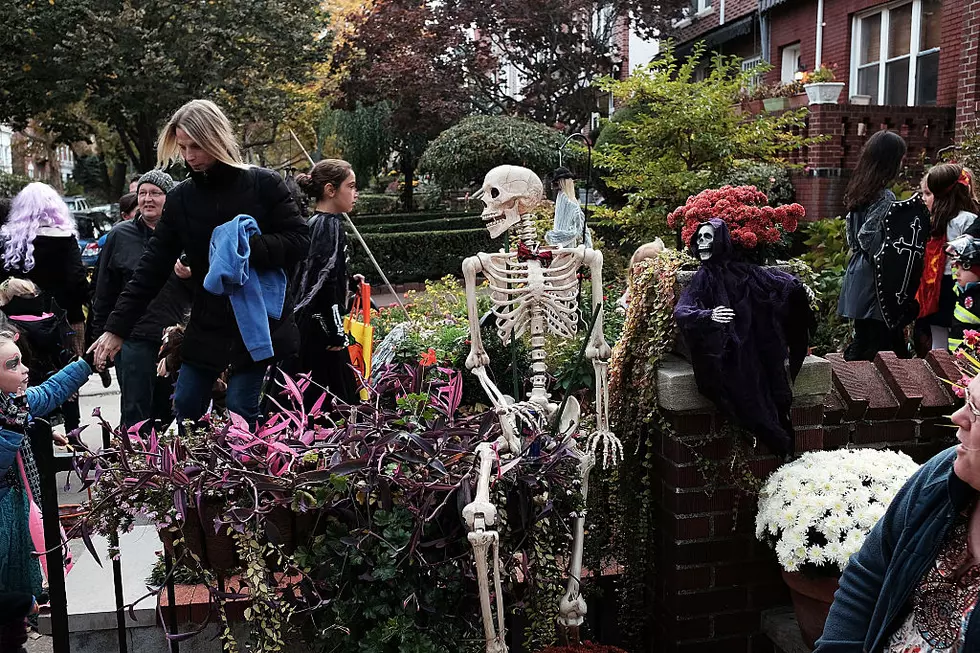No Trick-Or-Treating on Harrison Blvd This Year, But There Is Something