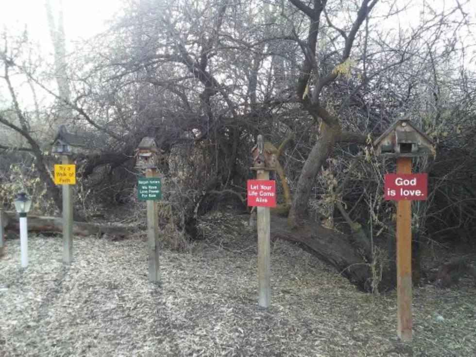 Idaho’s Hidden Ferry Trail