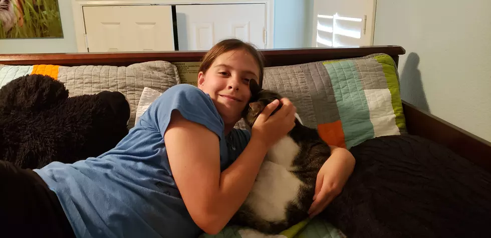 If You&#8217;re Feeling Stressed, Hug Your Cat