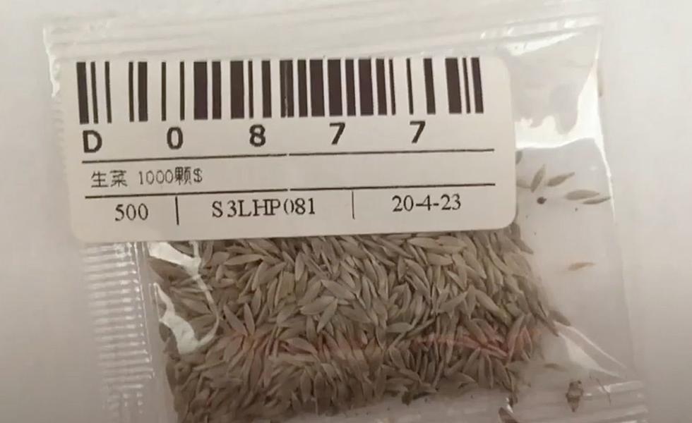 Did You Receive Unsolicited Seed Packages From China Yet?