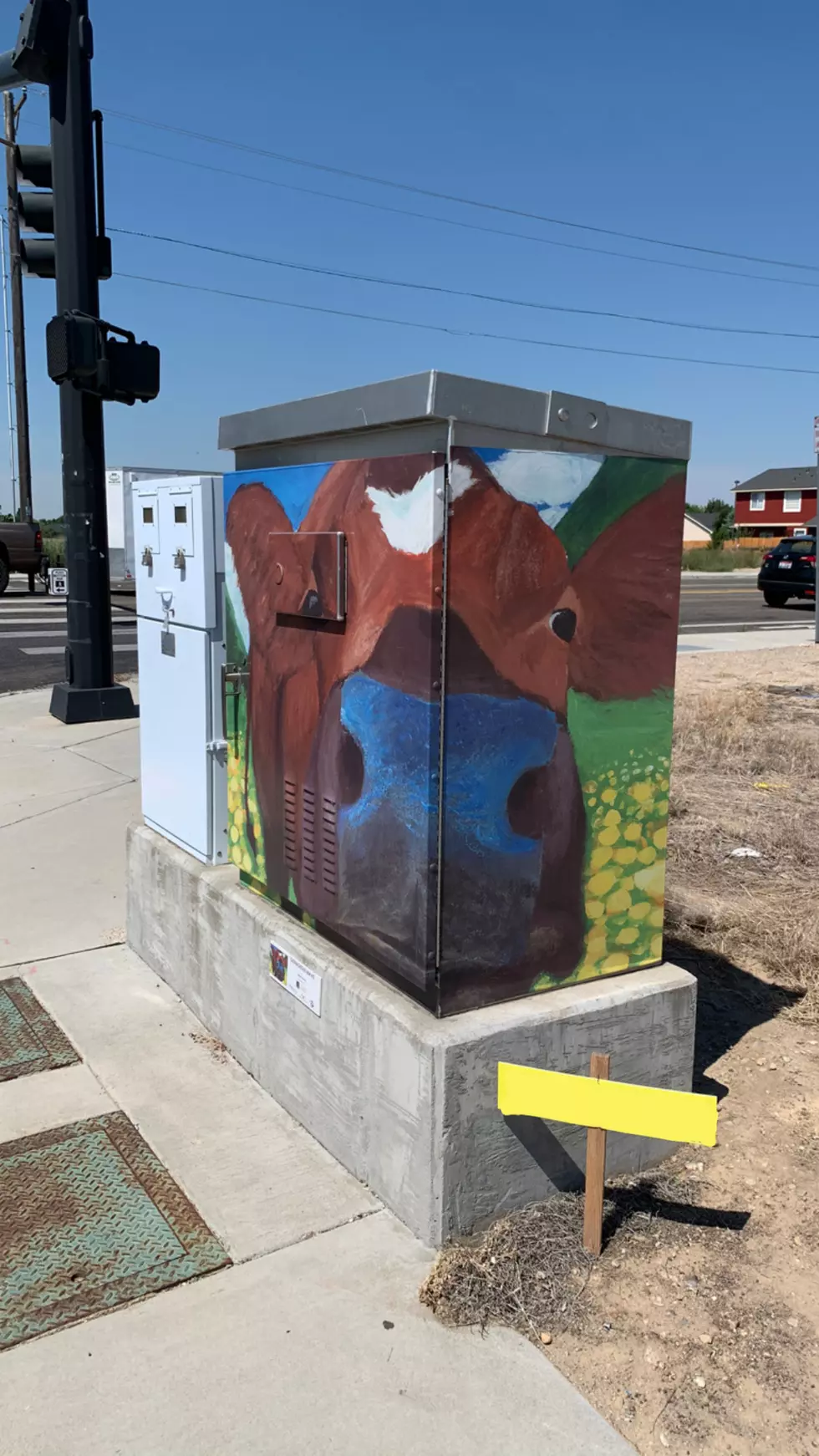 Local Gems: Traffic Box Art