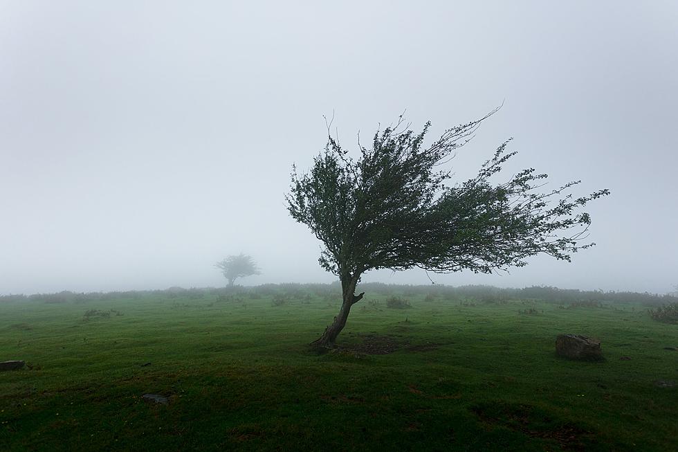 Damaging Winds Possible Sunday