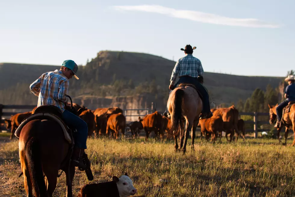 What The Heck is a Dude Ranch and Where You Can You Find Them in Idaho?