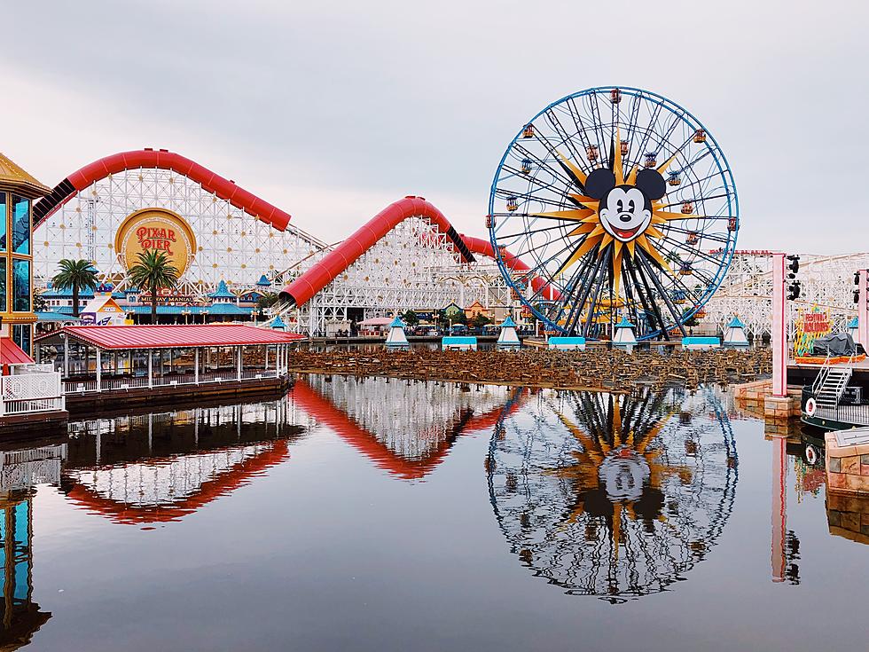 Idahoans Can Visit Disneyland Beginning June 15th!
