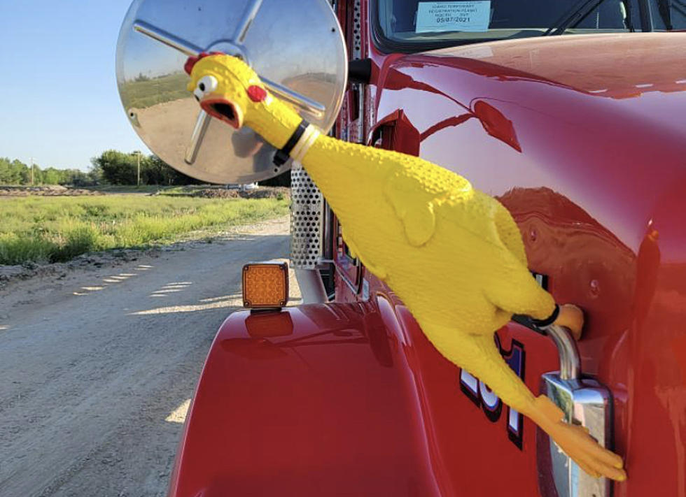 Missin&#8217; (Rubber) Chicken: Last Seen Friday In Caldwell