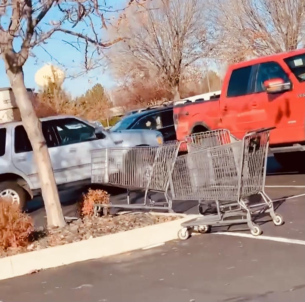 To the People Who Refuse to Return Their Shopping Carts: Who Hurt You?