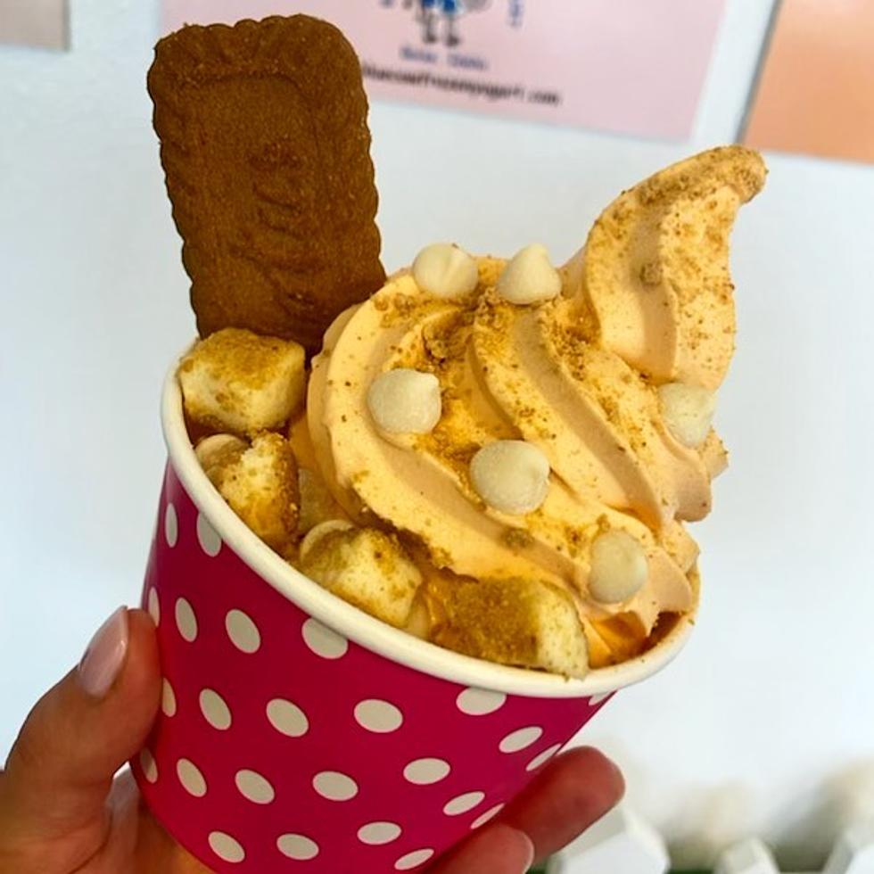 Love Those “Airplane Cookies?” Find Them as a Topping at This Boise FroYo Spot