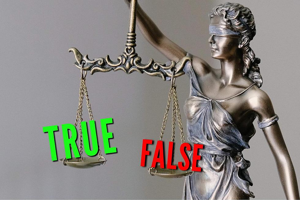 TRUE OR FALSE: Can You Guess Which Idaho Laws Are Real?