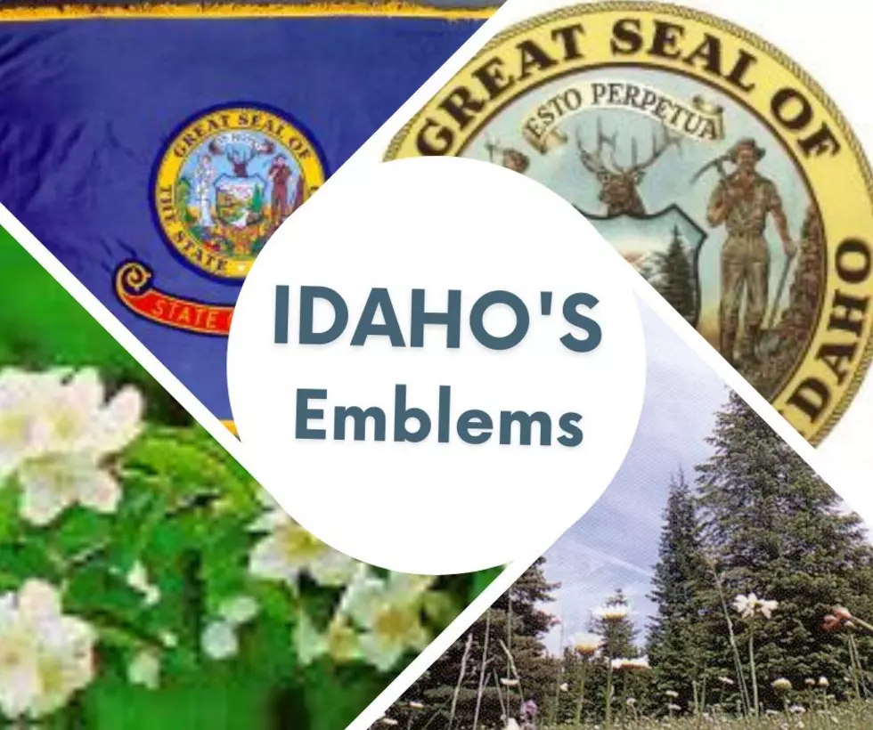 Flag Day: Idaho&#8217;s Emblems