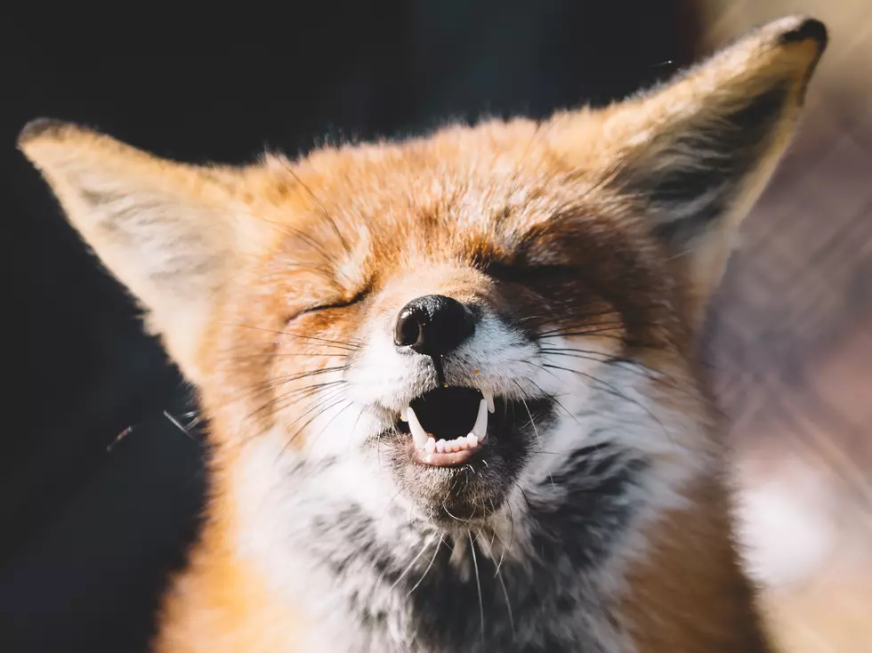 Photo by: Peter Lloyd on Unsplash