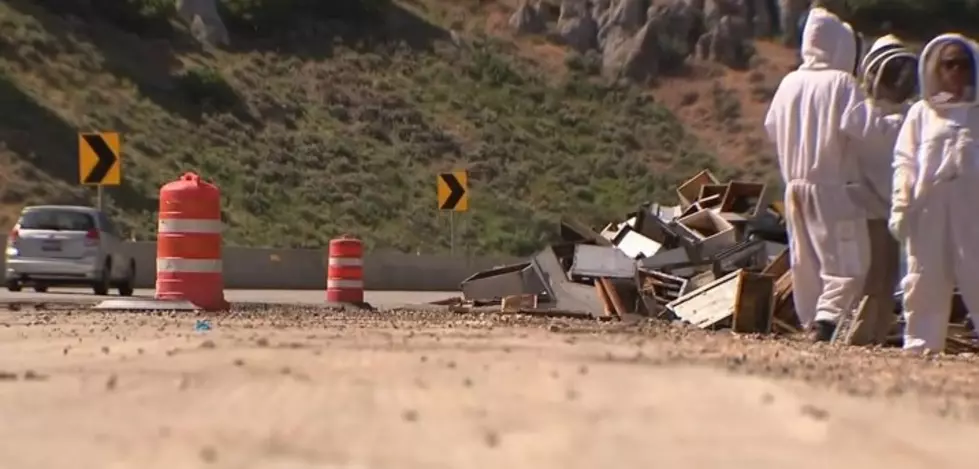 Millions Of Bees Released On I-80 In Utah After Semitrailer Crash
