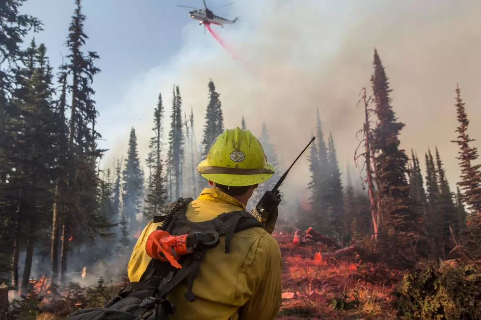 10 Practical Tips To Prevent Wildfires This Summer