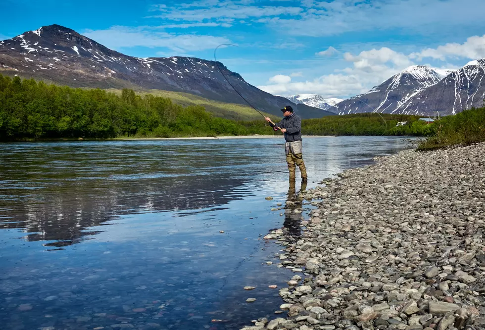 Idaho Fisherman Reels In Rare Species In Record Breaking Catch