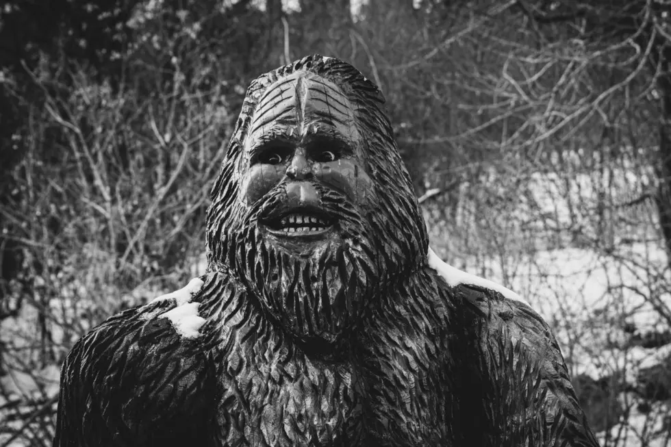 5 Idaho Bigfoot Encounters That Will Give You Nightmares