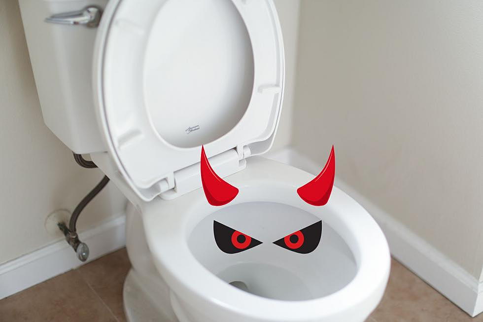 Are Scary Toilet Sounds A Thing Across Idaho?