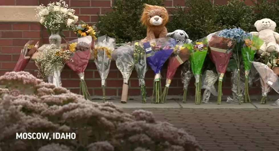 Photo Credit: KTVB7 YouTube