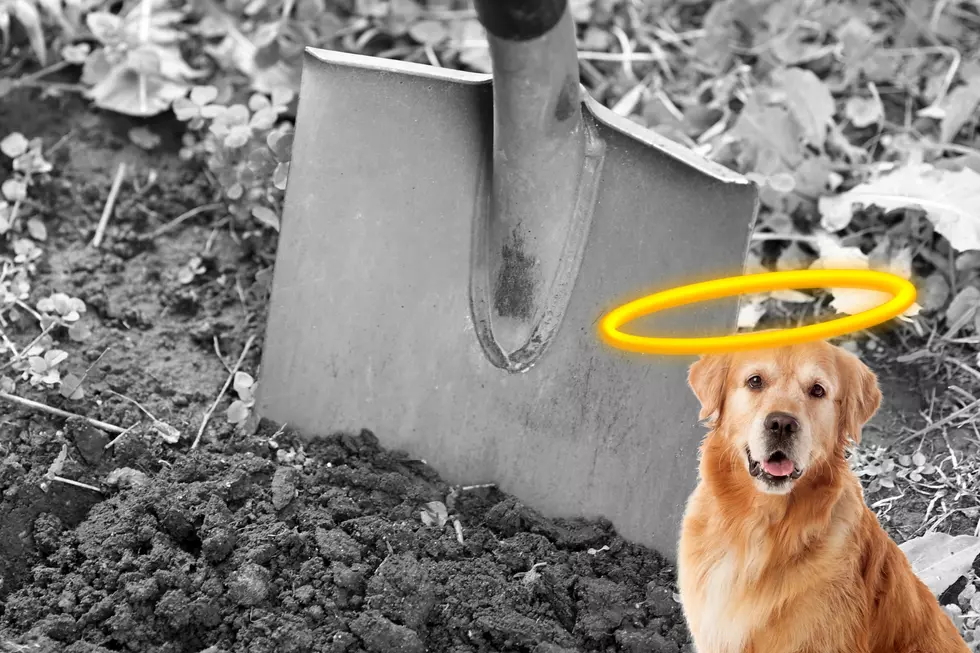 Are You Really Breaking the Law By Burying Your Pet in Idaho?