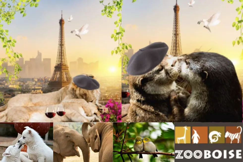 ZooLaLa: The Dramatic Love Lives Of Zoo Boise Animals [21+event]