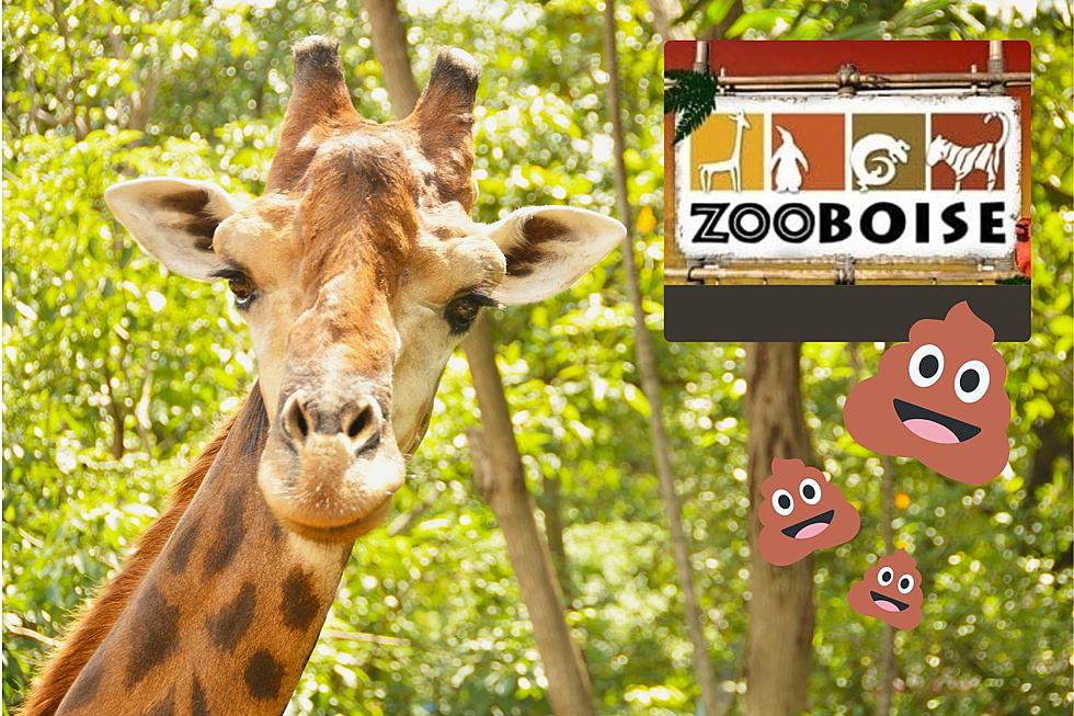 Your Kid Can Scoop Poop at Zoo Boise