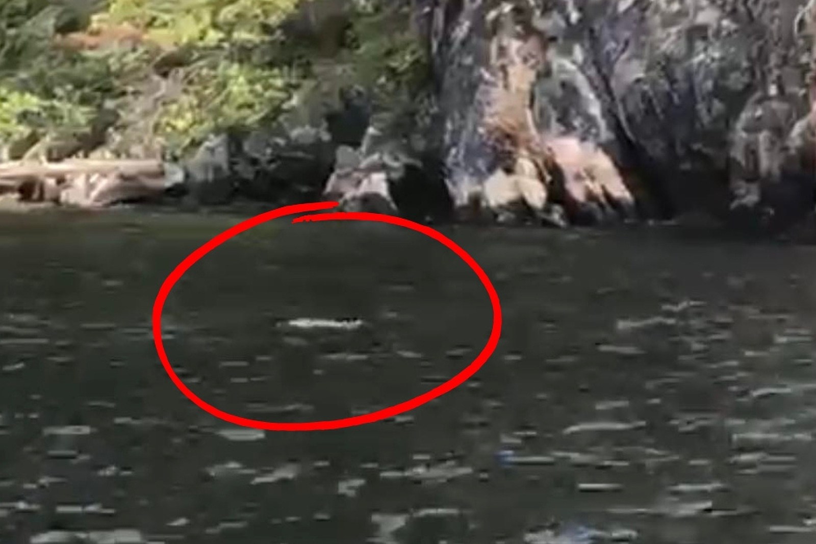 Is This Proof A Monster Exists Under A Popular Idaho Lake?