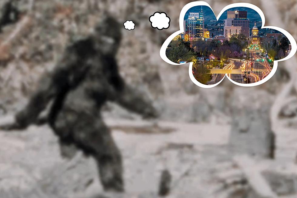 In Search Of Sasquatch: Is Idaho Bigfoot&#8217;s Favorite State?