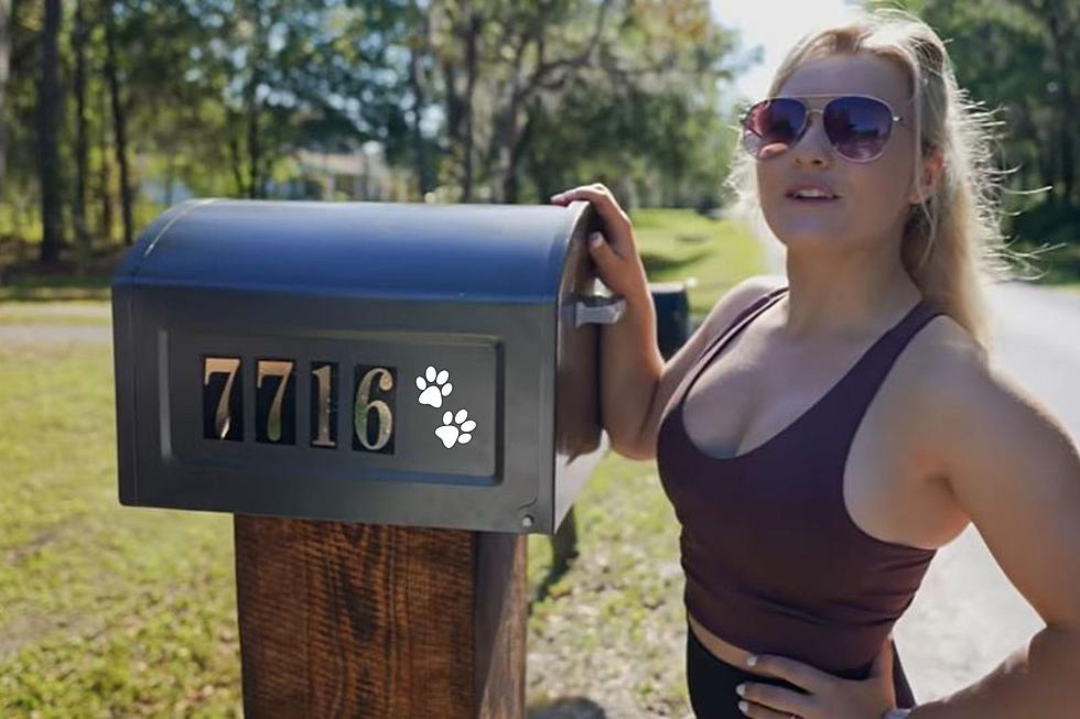If You See Pawprints On Idaho Mailboxes, Here&#8217;s Why
