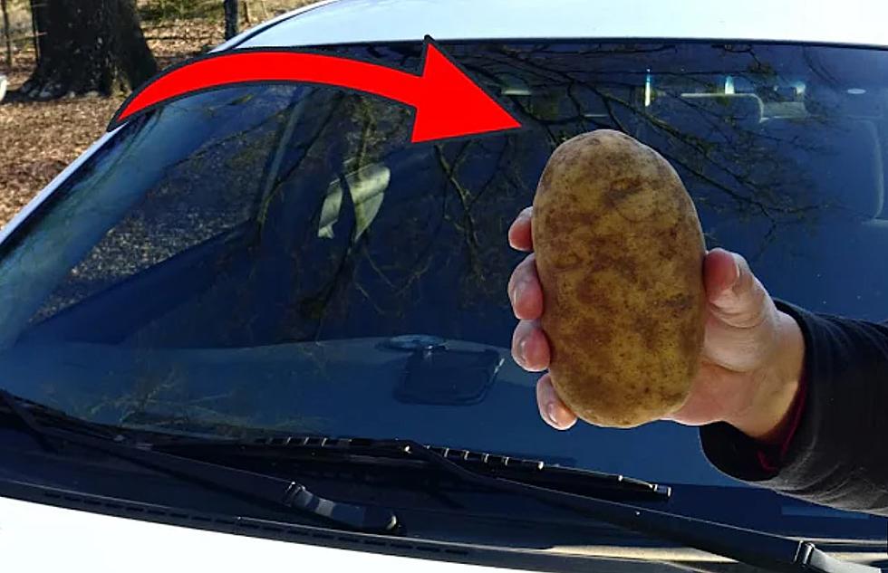 A Potato is All You Need to Fight the Idaho Frost this Winter