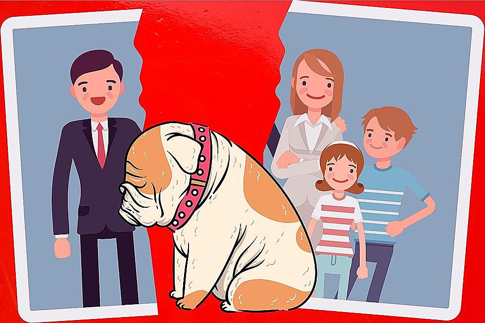 Who Gets the Pets When Idaho Spouses Divorce?