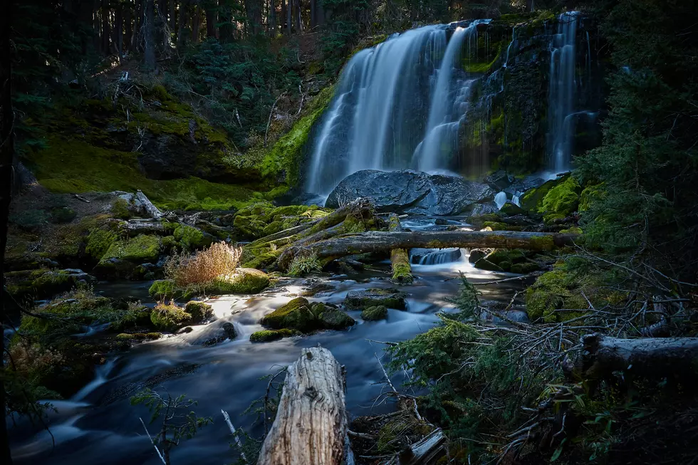 Photo by josh ludahl on Unsplash