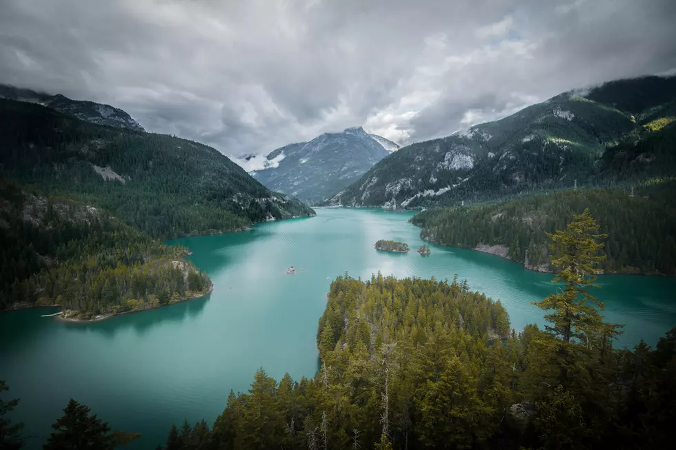 Photo by Nate Foong on Unsplash