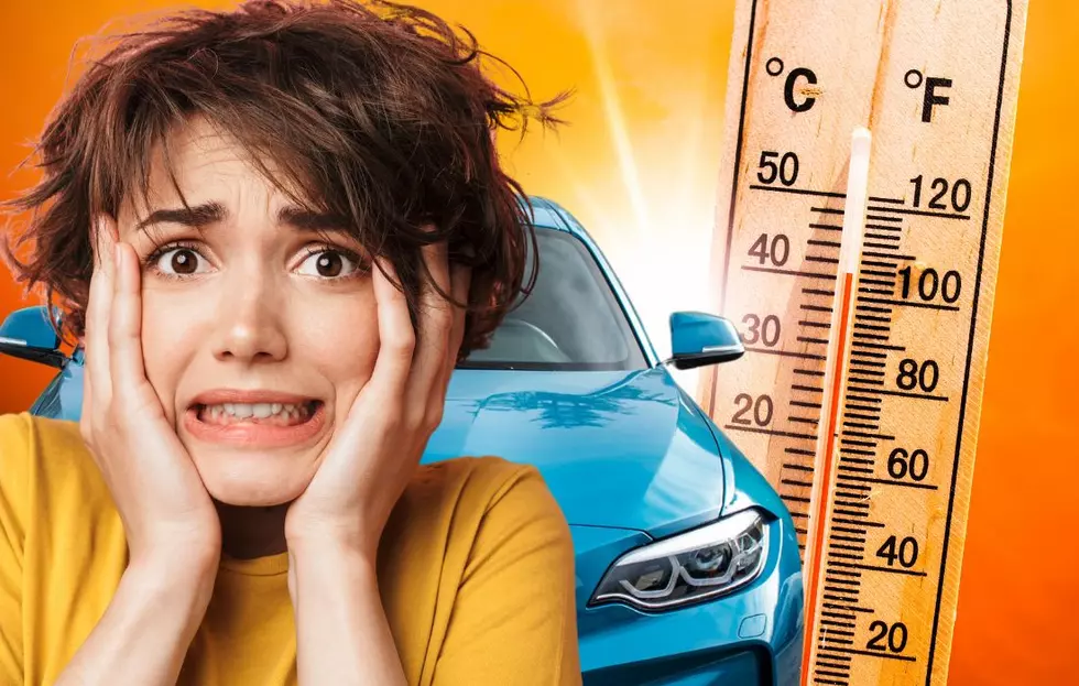 Idahoans Need To Pull These 13 Things Out Of Their Hot Cars Right Now