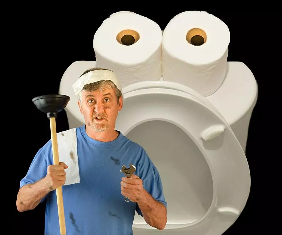 18 Things Idahoans Must Never Flush Down the Toilet
