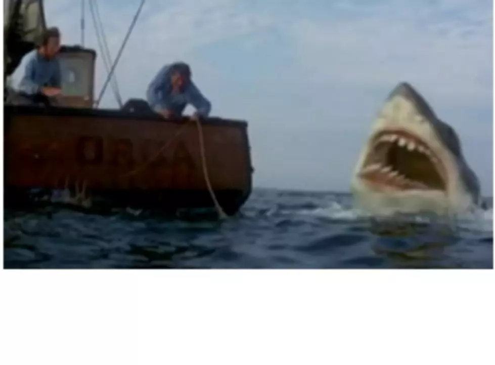 JAWS Was Actually A Family Movie- Who Knew?