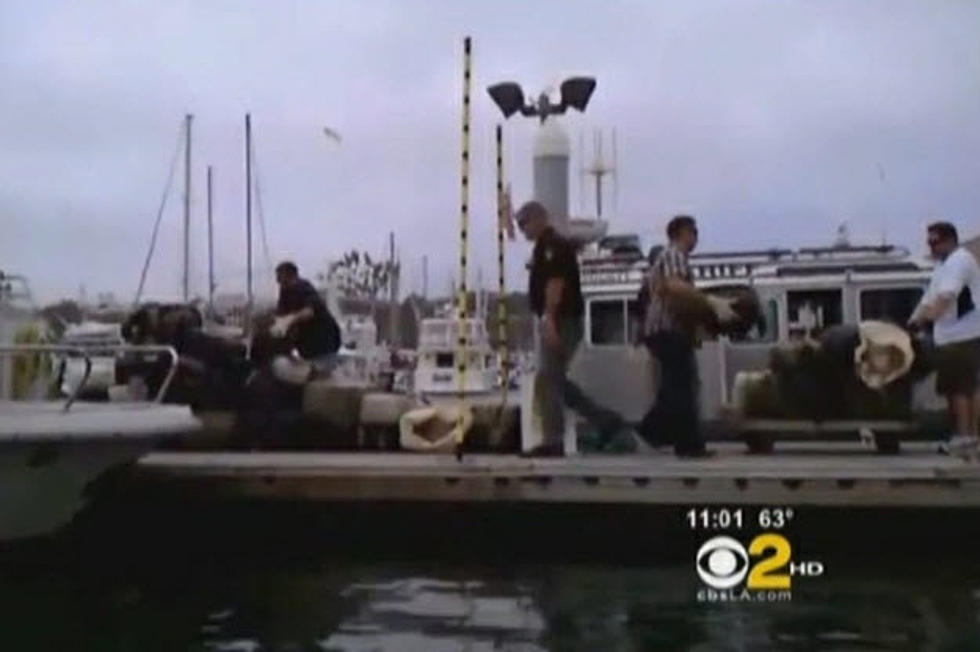 Whoever Left 7K Pounds Of Pot In The Ocean, Please Come Claim It