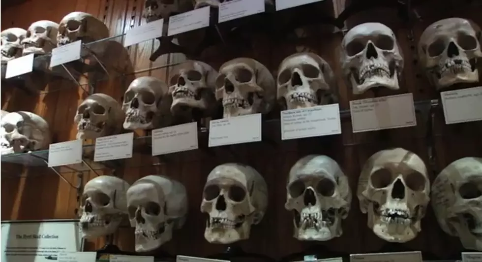 The Gift That Keeps On Giving &#8211; Skulls [VIDEO]