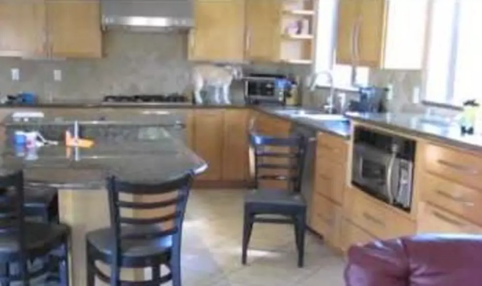 World&#8217;s Smartest Dog Outsmarts Furniture&#8230; Oven and Owner [VIDEO]