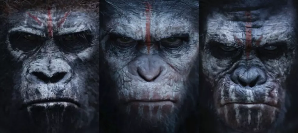 See &#8216;Dawn of the Planet of the Apes&#8217; with The LOON at Parkwood Cinemas for FREE [VIDEO]